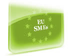 European SMEs and Social Businesses